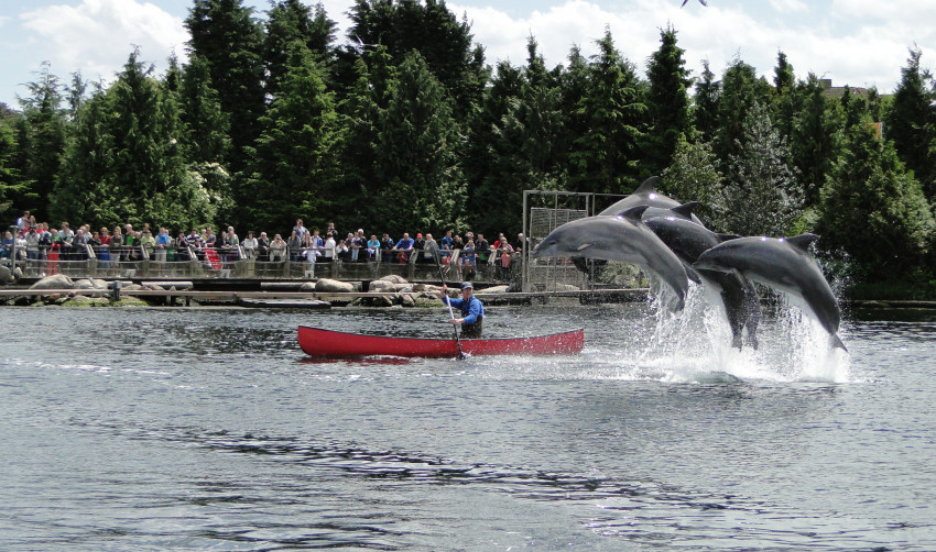 Dolfinarium Harderwijk