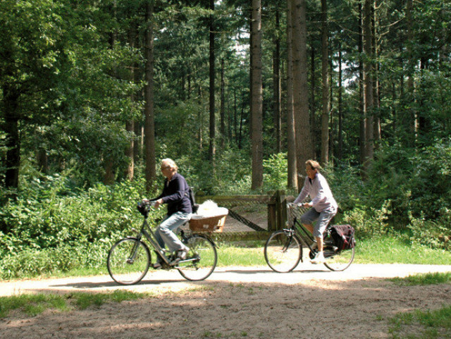 Fietsen door het bos