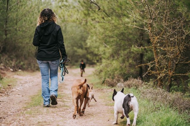 Honden losloopgebied
