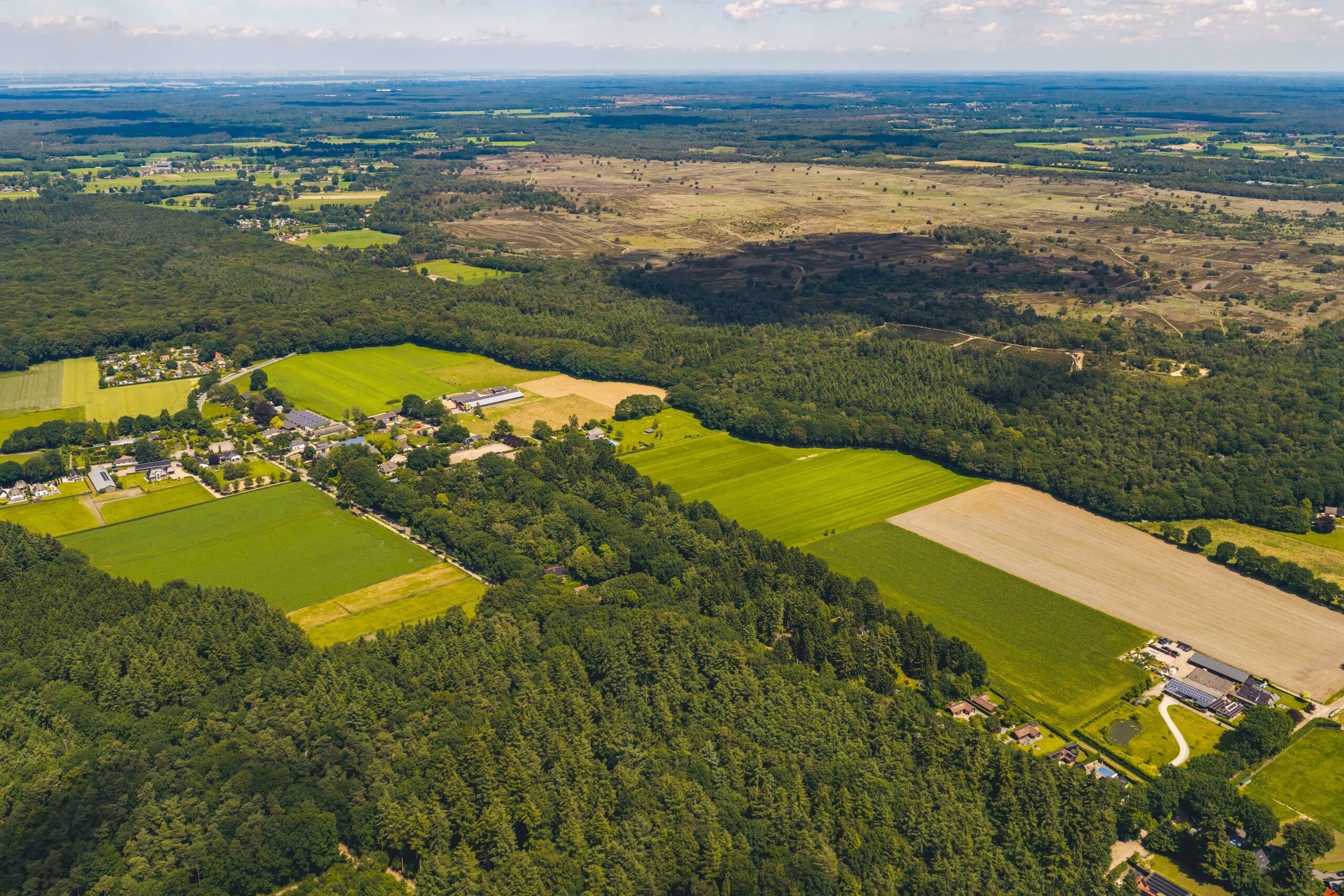 Natuur op de veluwe 1