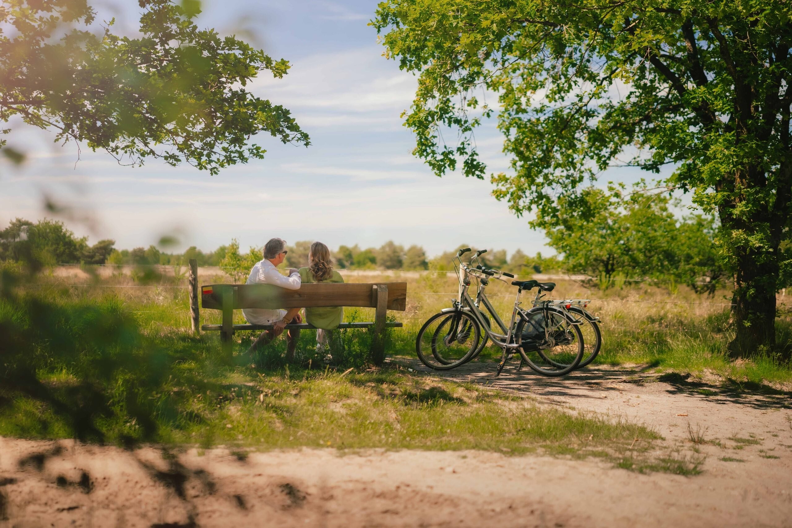 Natuur op de veluwe 2