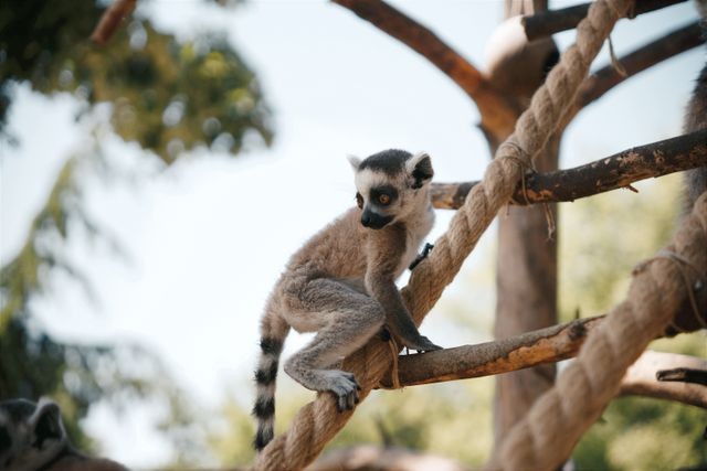Ouwehands dierenpark in Rhenen
