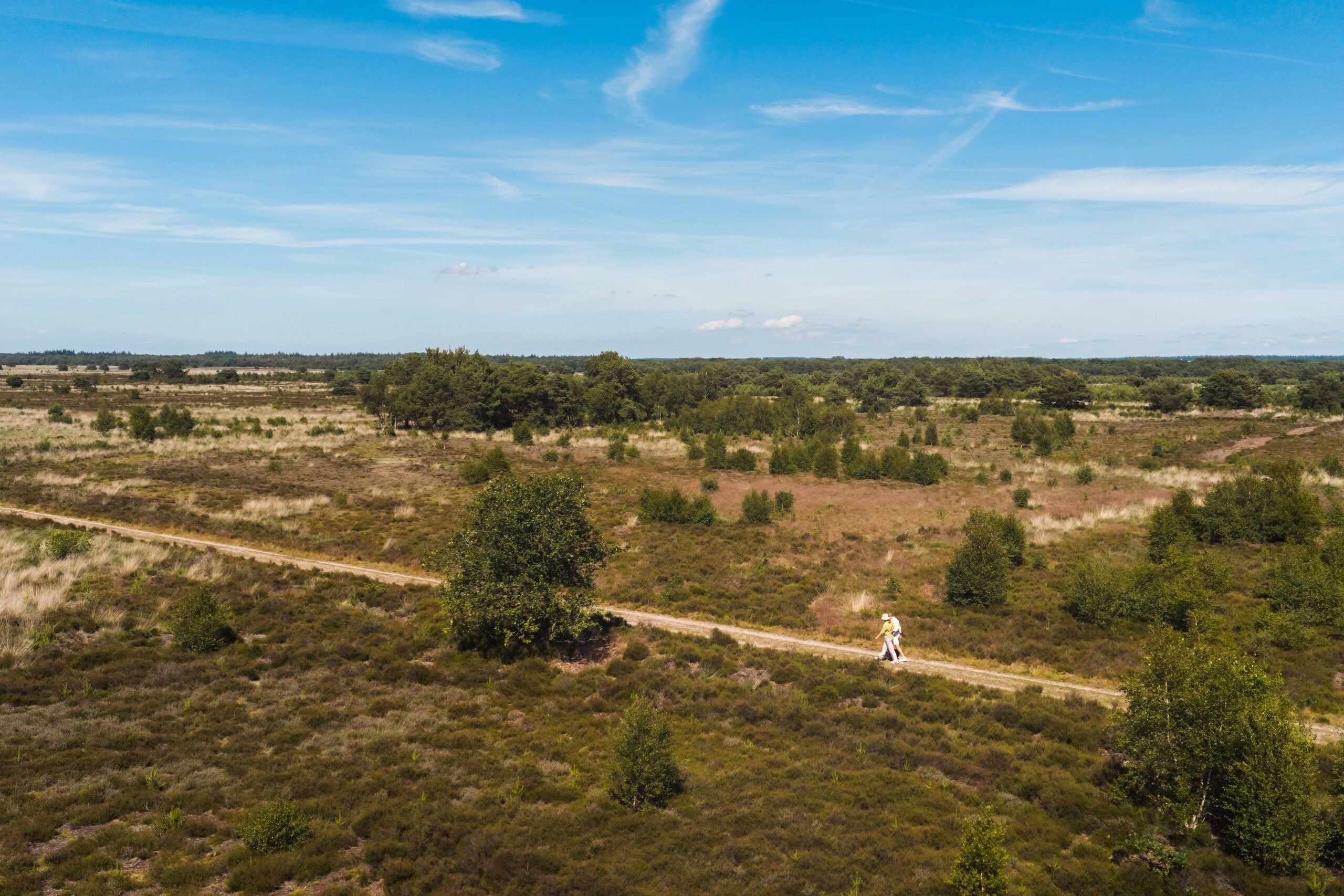 Wandelen veluwe 1
